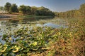 Free AMAZING RIVER Stock Photo - 6319940
