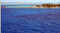 Free Tropical Island In The Caribbean Royalty Free Stock Image - 6311086