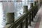 Free A Bird On Railing Stock Photo - 6316240
