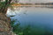 Free Foggy Lake Royalty Free Stock Image - 6319836