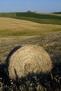 Free TUSCANY Countryside With Farms And Hay-ball Royalty Free Stock Image - 6321016