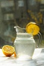 Free Fruit Juice Stock Photo - 6329260
