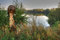 Free FOGGY RIVER Royalty Free Stock Images - 6320249