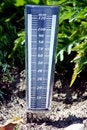 Free Humidity In The Soil Royalty Free Stock Image - 6332306