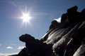 Free Frozen Lizard Royalty Free Stock Photo - 6333065