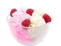 Free Freshness Raspberry With Ice-cream Royalty Free Stock Images - 6337549