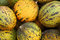 Free Melon Royalty Free Stock Images - 6335969