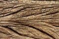 Free Weathered Wood Stock Image - 6342201