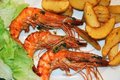 Free Jumbo Shrimps Stock Photos - 6343333