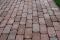 Free A Brick Path In The Park Stock Photos - 6346963