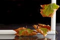 Free Autumnal Leaves Stock Image - 6348801