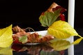 Free Colors Of The Autumn Royalty Free Stock Photo - 6349005