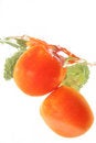 Free Broccoli And Tomatoes Splash Royalty Free Stock Image - 6349536