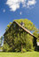 Free Old Barn In Indianapolis Royalty Free Stock Image - 6340226