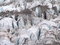 Free Glacier Stock Photography - 6343982