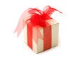 Free One  Fancy Gift Box Royalty Free Stock Photos - 6350358