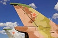 Free Fighters. Stock Photos - 6355653