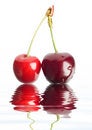 Free Red Cherries Royalty Free Stock Photography - 6358437