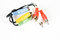 Free RCA Cable With Plugs And Sockets Stock Photos - 6351513