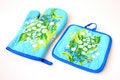 Free Kitchen Mitt Stock Photography - 6361872