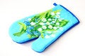 Free Kitchen Mitt Stock Photography - 6361902