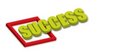 Free Success Stock Photo - 6363220