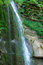 Free Waterfall In The Forest Stock Image - 6361741
