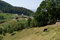 Free Summer Mountainous Green Glade Royalty Free Stock Photo - 6365435