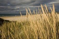 Free Cloudy Beach Stock Image - 6374641