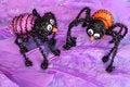 Free Halloween Items Stock Photos - 6382863