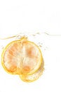 Free Orange Splash Royalty Free Stock Photo - 6385735