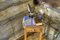 Free Cabin 3 Stock Photography - 6382602
