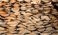 Free Wood Logs Texture Stock Photography - 6396842