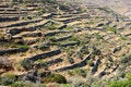 Free Terraced Arid Land Stock Photography - 6398802