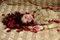 Free Woman And Rose Petal Stock Photography - 6399812