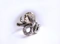 Free Snake Ring Royalty Free Stock Photo - 640335