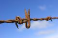 Free Rusty Barbed Wire Stock Photos - 643213
