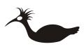 Free Crane Bird Stock Image - 644561