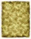 Free Tan Paper Stock Images - 645934