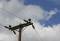 Free High Voltage Stock Images - 648034