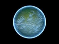 Free Alien Unknown Planet With Blue Atmosphere Royalty Free Stock Images - 6404389