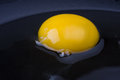 Free Egg Yolk Royalty Free Stock Photos - 6406678