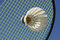 Free Close-Up Badminton Royalty Free Stock Photo - 6400565
