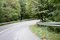 Free Road Through The Wood Stock Photo - 6405290