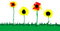 Free Flower Tree Royalty Free Stock Photo - 6410325