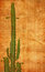 Free Abstract Paper Texture With Cactus Royalty Free Stock Photo - 6415725