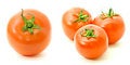 Free Close Up Shot Of Ripe Fresh Tomatoes Stock Photography - 6421222