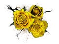 Free Floral Logo Or Ikon 4 Royalty Free Stock Photography - 6422127