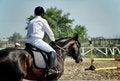 Free Horse Derby Royalty Free Stock Photo - 6424035
