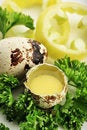 Free Macro Egg Royalty Free Stock Photography - 6424047